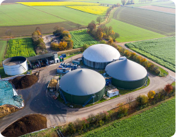 Biogas