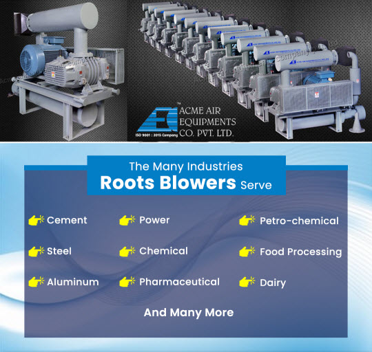 Twin Lobe Roots Blowers Serve Industries